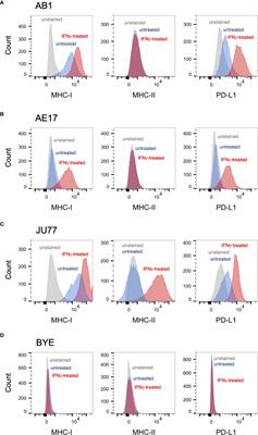 Immune marker expression of irradiated mesothelioma cell lines